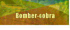 Bomber-cobra